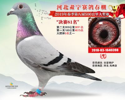 肃宁春棚决赛81名