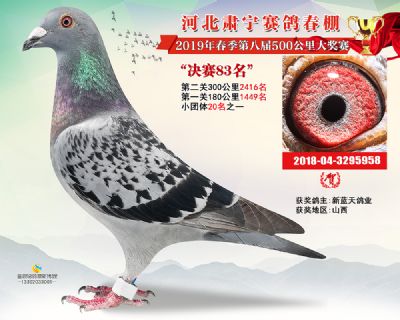 肃宁春棚决赛83名