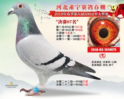 肃宁春棚决赛87名
