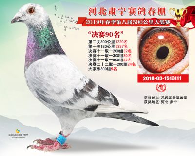 肃宁春棚决赛90名