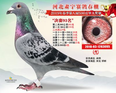 肃宁春棚决赛93名