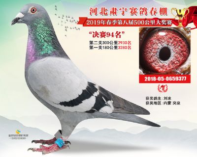 肃宁春棚决赛94名