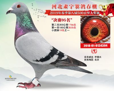 肃宁春棚决赛95名