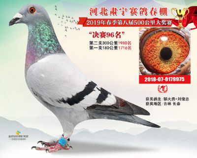 肃宁春棚决赛96名