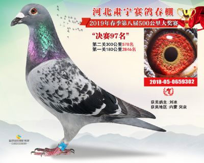 肃宁春棚决赛97名