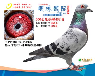 2019武威明珠482