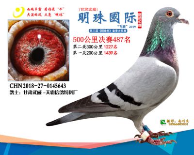2019武威明珠487