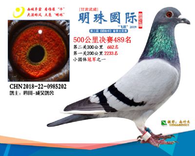 2019武威明珠489
