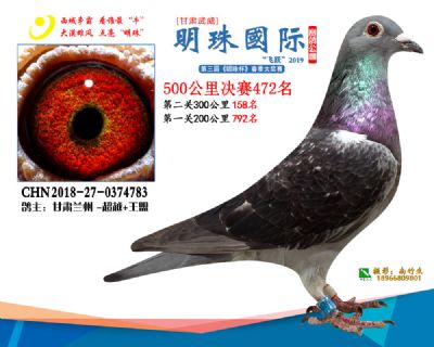 2019武威明珠472