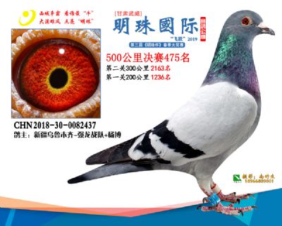 2019武威明珠475