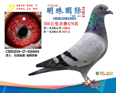 2019武威明珠479