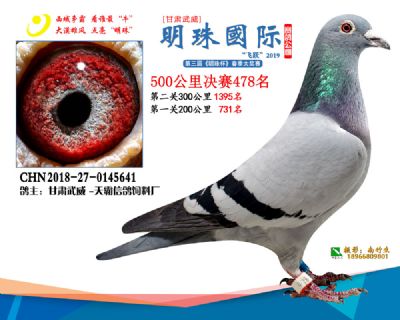 2019武威明珠478