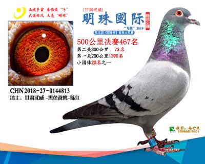 2019武威明珠467