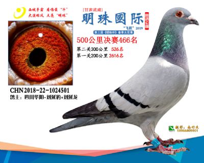 2019武威明珠466