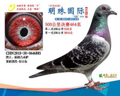 2019武威明珠464