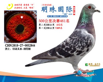 2019武威明珠461