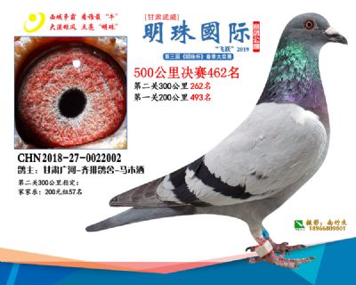 2019武威明珠462