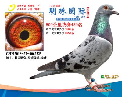 2019武威明珠459