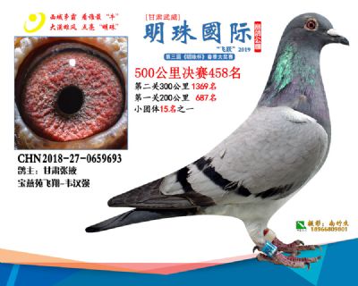 2019武威明珠458