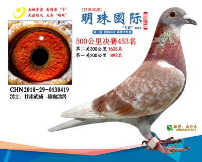 2019武威明珠453