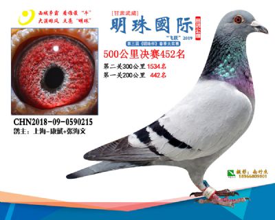 2019武威明珠452