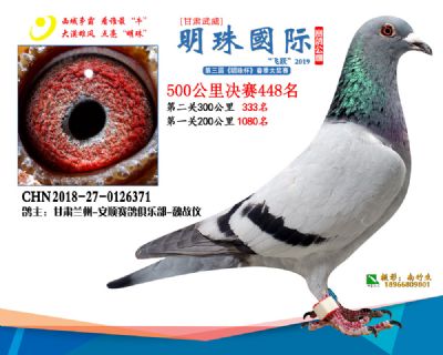 2019武威明珠448