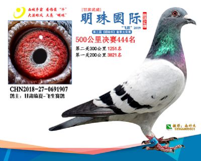 2019武威明珠444