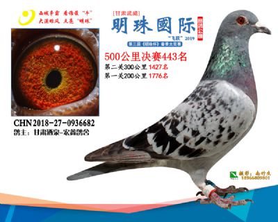 2019武威明珠443