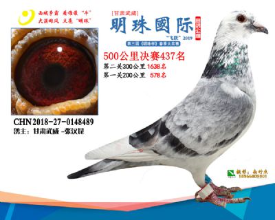 2019武威明珠437