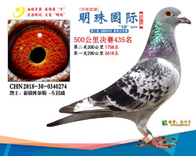 2019武威明珠435