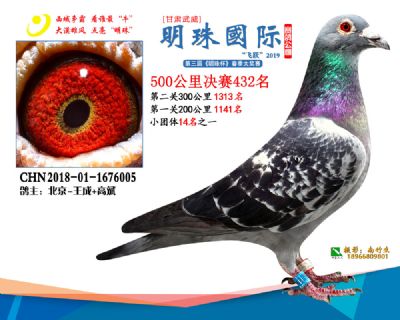 2019武威明珠432