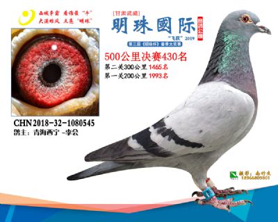2019武威明珠430