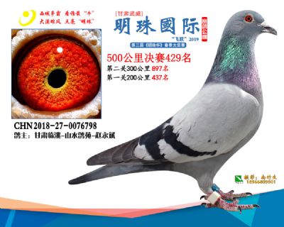 2019武威明珠429