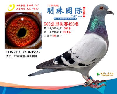 2019武威明珠428