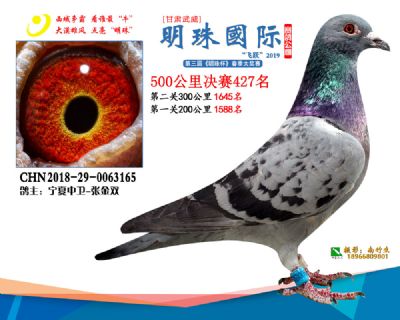 2019武威明珠427