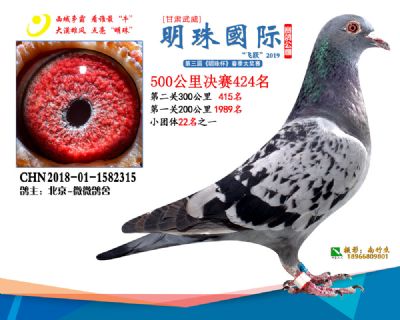 2019武威明珠424
