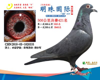 2019武威明珠421