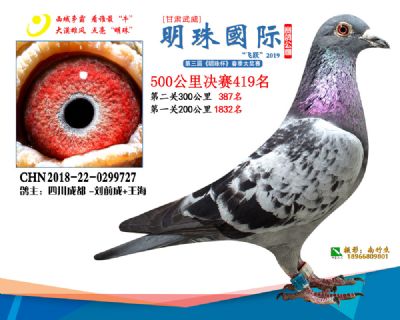 2019武威明珠419