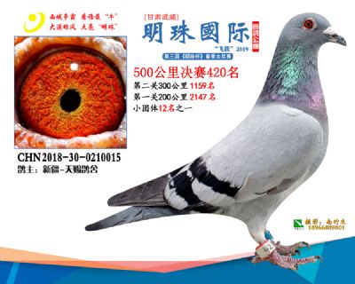 2019武威明珠420