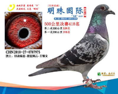 2019武威明珠418