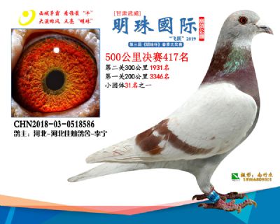 2019武威明珠417