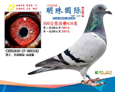 2019武威明珠416