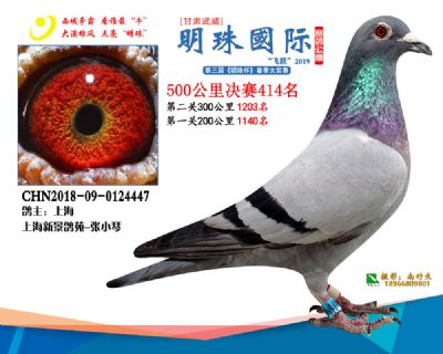 2019武威明珠414