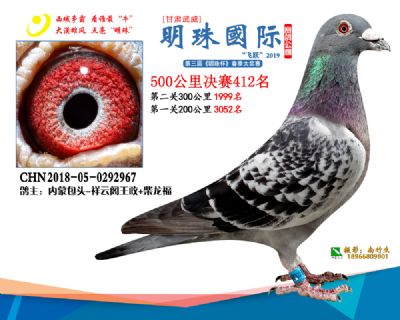 2019武威明珠412