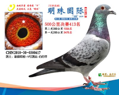 2019武威明珠413
