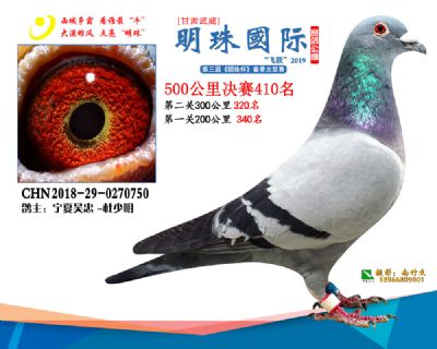 2019武威明珠410