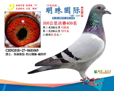 2019武威明珠409