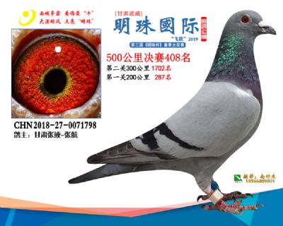 2019武威明珠408