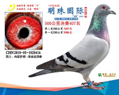 2019武威明珠407