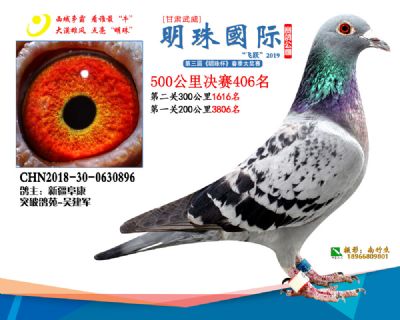 2019武威明珠406